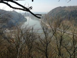 2017 Grein an der Donau (3)